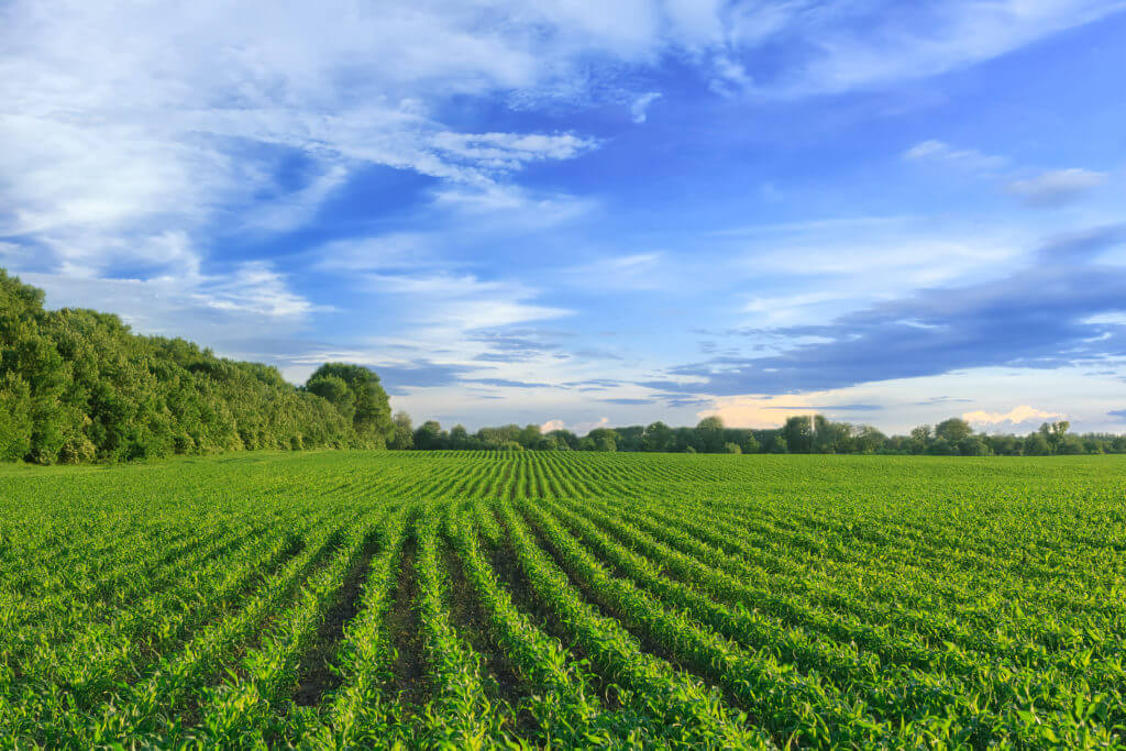 Rural Credit Policy In Brazil: Agriculture, Environmental Protection ...