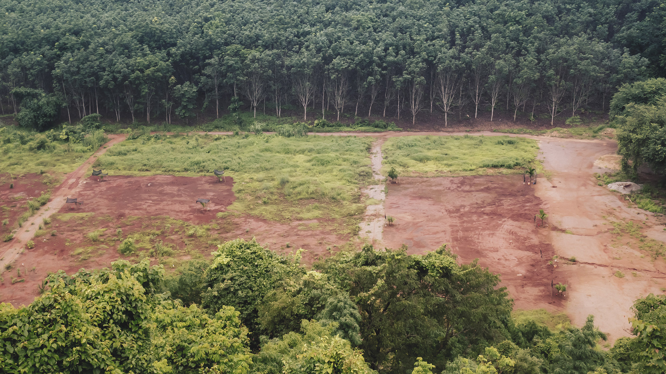 Through DETER's Lens: The Relationship between Degradation and  Deforestation in the  - CPI