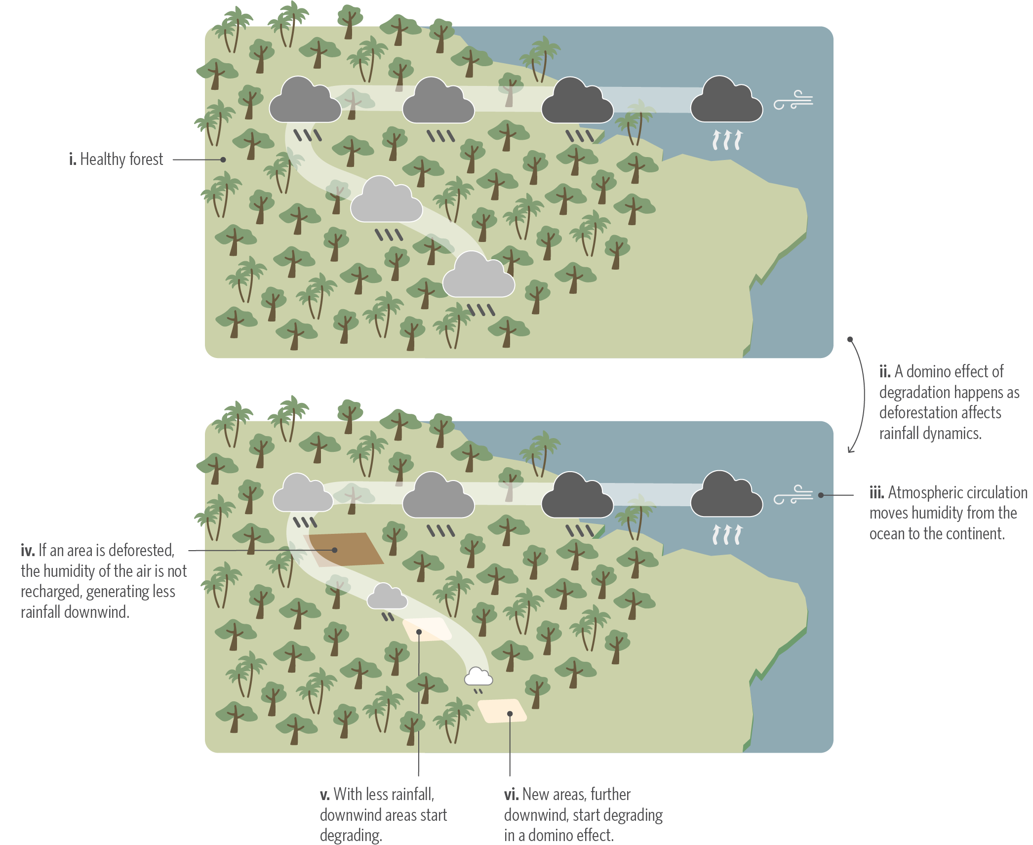 The  Domino Effect: How Deforestation Can Trigger Widespread