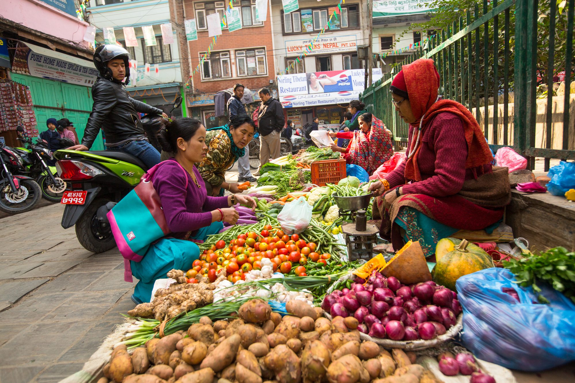 The Climate Finance Gap for Small-Scale Agrifood Systems - CPI