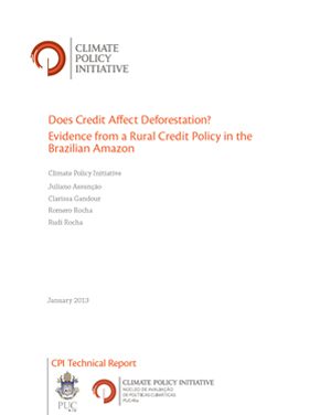 Does Credit Affect Deforestation? Evidence from a Rural Credit Policy in the Brazilian Amazon
