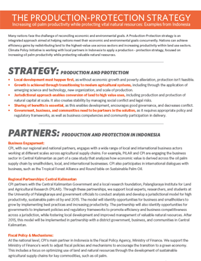 Fact Sheet: The Production & Protection Strategy in Indonesia