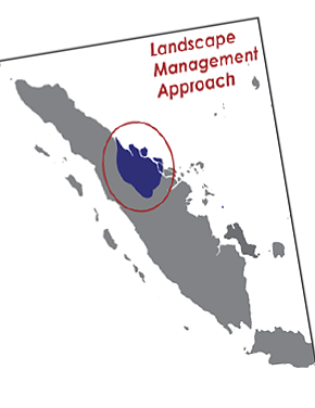 Achieving a high-productivity, sustainable palm oil sector in Indonesia: a landscape management approach