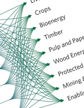 Three tools to unlock finance for land-use mitigation and adaptation