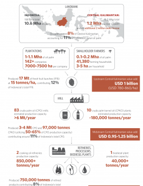 Central Kalimantan’s Oil Palm Value Chain: Opportunities for Productivity, Profitability and Sustainability Gains