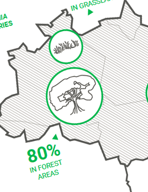 Brazil’s New Forest Code: How to Navigate the Complexity