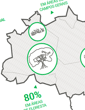 Novo Código Florestal: Caminhos e Desafios para a Regularização Ambiental