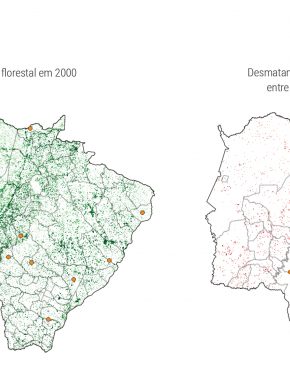 O papel da cana-de-açúcar no desenvolvimento econômico