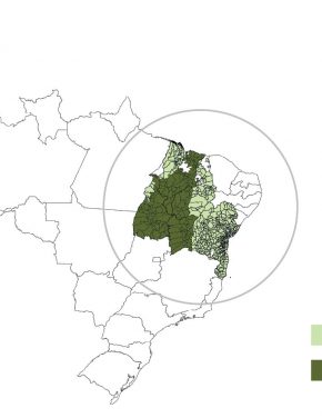 As Agricultural Production Surges in Matopiba, What Are the Consequences for the Local Economy?