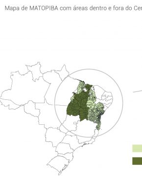 Expansão da produção agrícola no Matopiba: consequências para a economia local