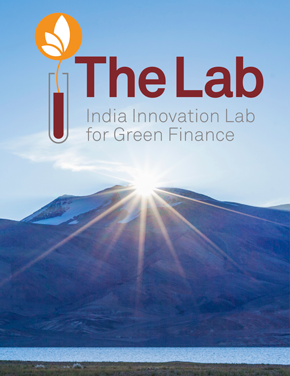 India Innovation Lab for Green Finance: 2015-2016 Cycle Instrument Analysis