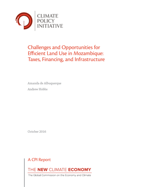 Challenges and Opportunities for Efficient Land Use in Mozambique: Taxes, Financing, and Infrastructure