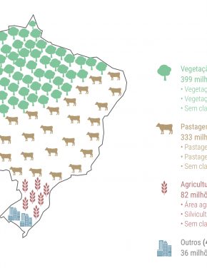 Melhorar a produtividade agrícola brasileira é um passo importante para a mitigação das mudanças climáticas