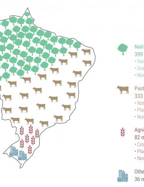 The Next Step Towards Climate Change Mitigation: Improving Productivity of Brazil’s Agricultural Lands