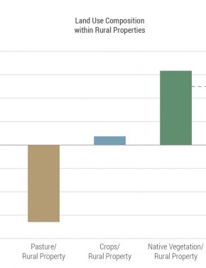 Electrification, Agricultural Productivity and Deforestation in Brazil