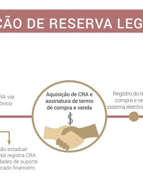Cota de Reserva Ambiental: melhor opção para compensar Reserva Legal?