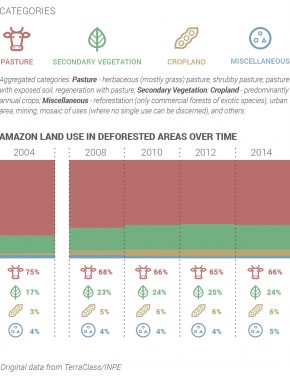 What does the surge in Amazon regeneration mean for Brazil?