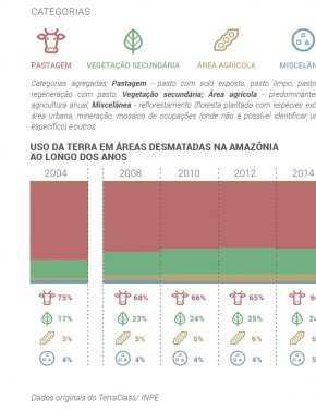 Como interpretar o aumento da regeneração na Amazônia brasileira?