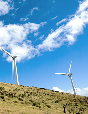 Getting to India’s Renewable Energy Targets: A Business Case for Institutional Investment