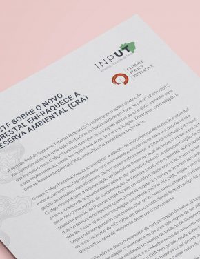 Decisão do STF sobre o novo Código Florestal enfraquece a Cota de Reserva Ambiental (CRA)