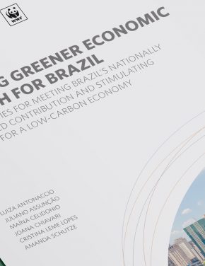 Ensuring Greener Economic Growth for Brazil