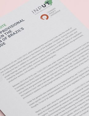 Amendments to a provisional measure threaten the implementation of Brazil’s new Forest Code
