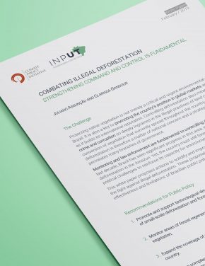 Combating Illegal Deforestation