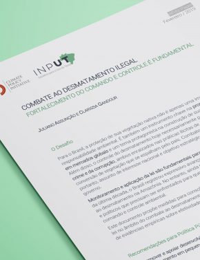 Combate ao desmatamento ilegal