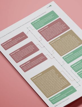 Decreto nº 9.760/2019 altera regras de conversão de multa ambiental em prestação de serviços ambientais