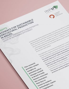 Pathways for Sustainable Agricultural Production in Brazil
