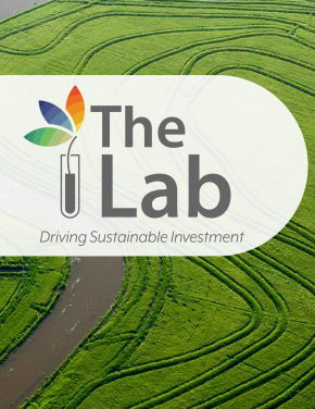 The Lab: 2018-2019 Cycle Instrument Analysis