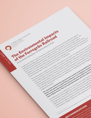 Os impactos ambientais da Ferrogrão