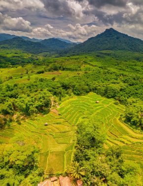 Indonesia Environment Fund: Bridging the Financing Gap in Environmental Programs